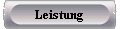  Leistung 