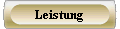  Leistung 